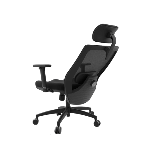 foto19.png