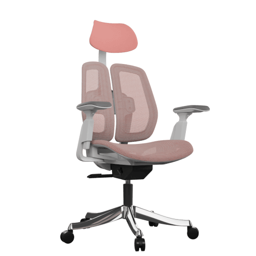 foto17.png
