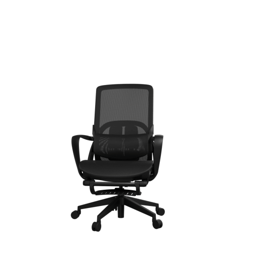 foto11.png